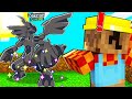 HO CATTURATO ZEKROM POKEMON LEGGENDARIO SULLA PIXELMON!!