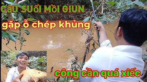 câu suối tự nhiên mồi giun lên ỗ cá chép khủng quá đã,cá lôi rít cước công cần,