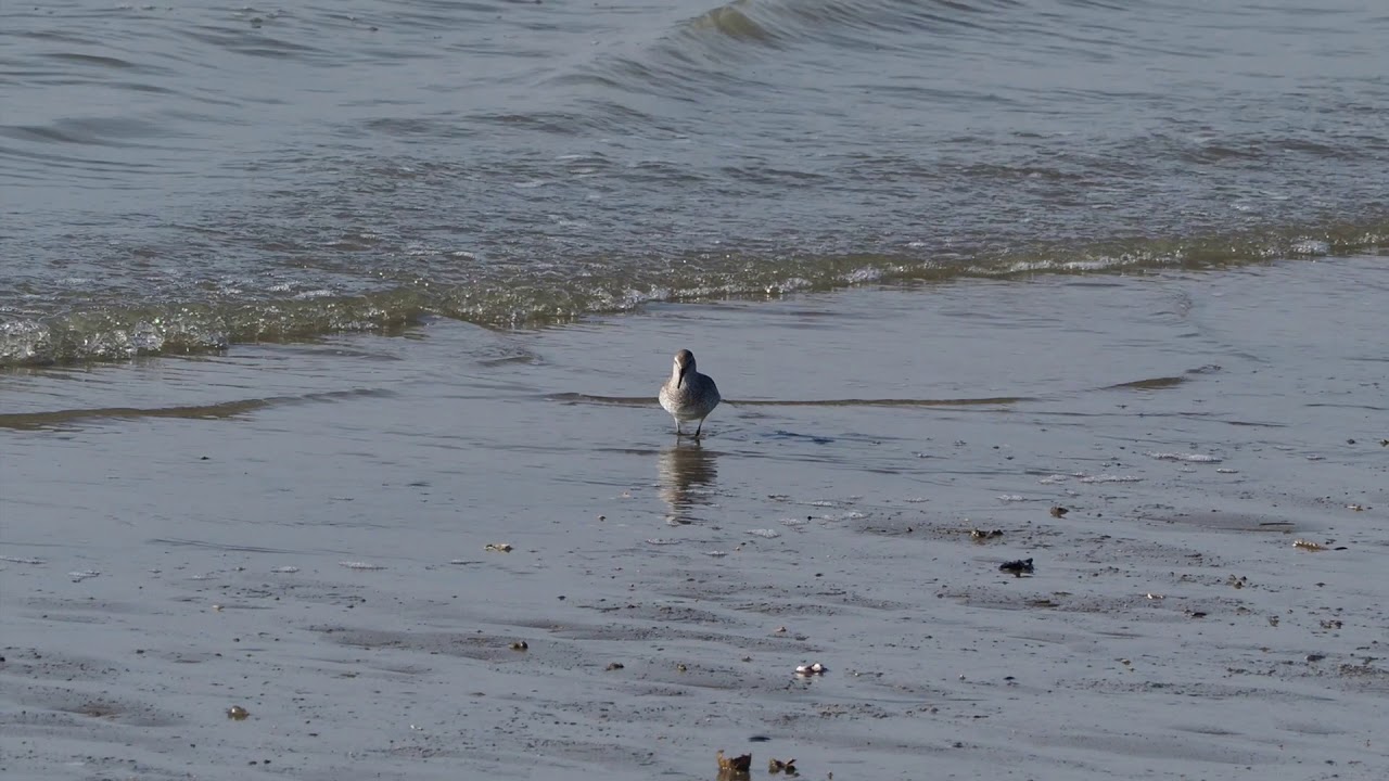 Kanoet Zeeland 04 03 2018