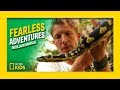 Death Adder and Queensland Tarantula Facts