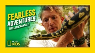 A Biting Tarantula and Venomous Death Adder | Fearless Adventures with Jack Randall