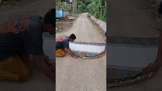 Talkop Yang Besar nature shortsviral