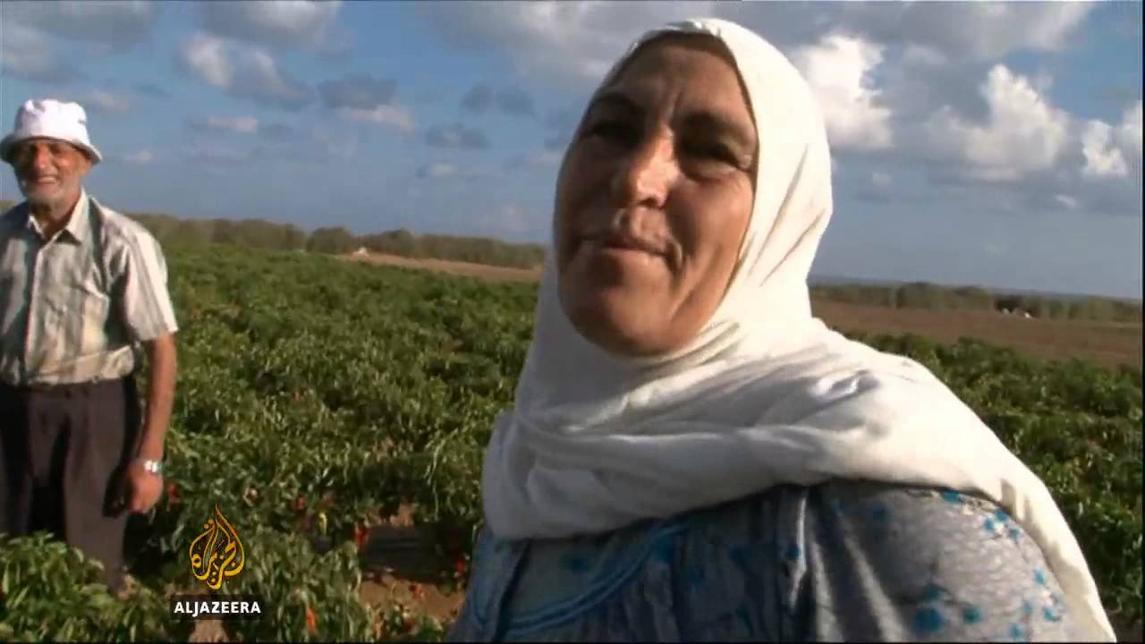 مزارعون في حقول غزة رغم الهجمات