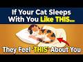 If Your Cat Sleeps With You Like This, They Feel 'THIS' About You