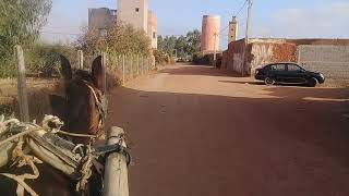 جولة في الدوار في نواحي مدينة سيدي بنور  منطقة دكالة (المغرب)