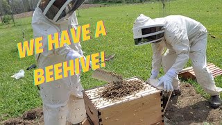INSTALLING our BEEHIVE! What an UNFORGETTABLE EXPERIENCE! Afraid of BEES? Watch this video!
