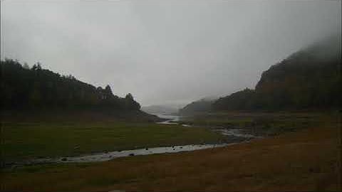 Improvisation #98 for Poly Evolver and Prophet 