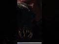 Indoraptor edit JW fallen kingdom #shorts #jurassicworld #jurassicpark #fallenkingdom #indoraptor