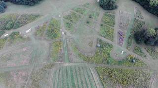 Flat Rocks Disc Golf Course Aerial