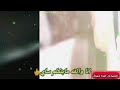 عشه الجبل حالات واتساب