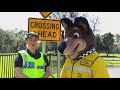 Jeff shows us how to be safe around public transport (bus safety)