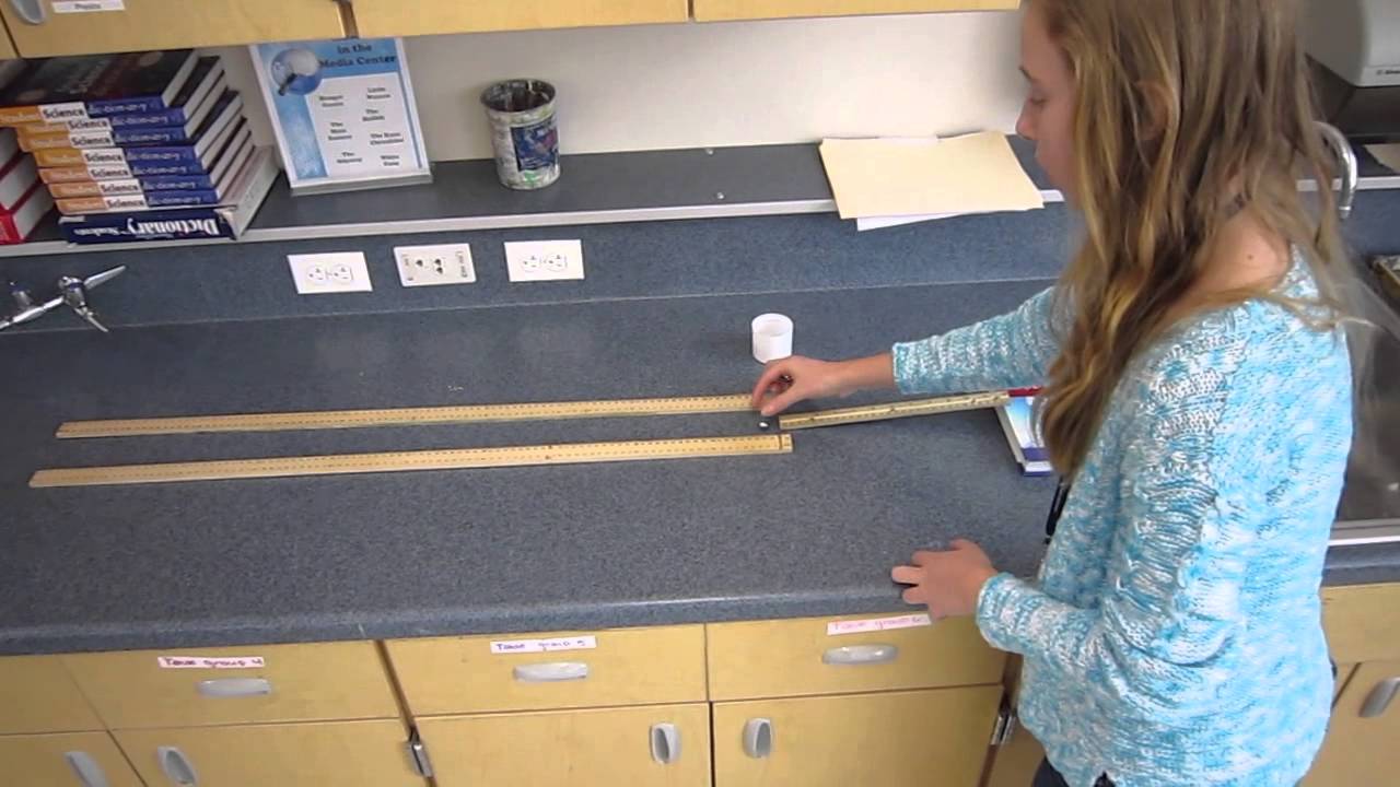 newton lab report -a popular way to state newton's third law is for every action, there is an equal and opposite reaction this law is a major concept in physics, applying to many different situations the point of this lab is to demonstrate newton's third law graphically in logger pro, but also to give a. newton lab report -a popular way to state newton's third law is for every action, there is an equal and opposite reaction this law is a major concept in physics, applying to many different situations the point of this lab is to demonstrate newton's third law graphically in logger pro, but also to give a.