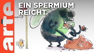 Fruchtfliegen-Blues