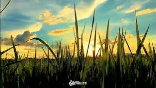 Dodit mulyanto  gunung kemukus (story wa)