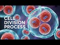 #Mitosis vs Meiosis: Why The Body Needs Both