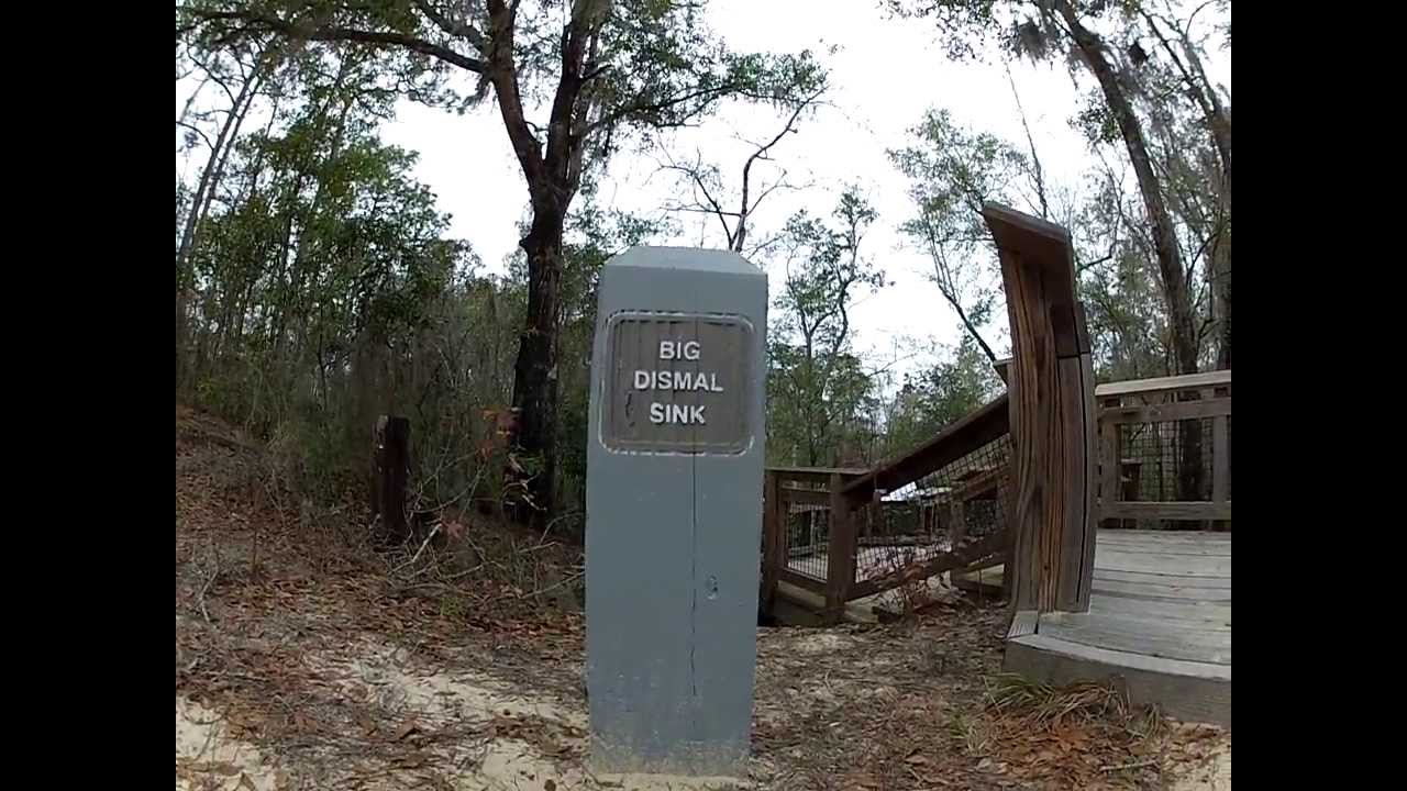 Big Dismal Sink At Leon Sinks Geological Area