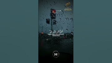 القارئ سعيد دباح سورة الروم