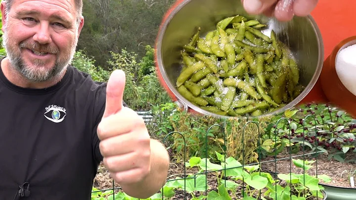 Growing Edamame from Seed to Plate | Backyard Soybeans - DayDayNews