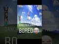 Giraffes In The Air 