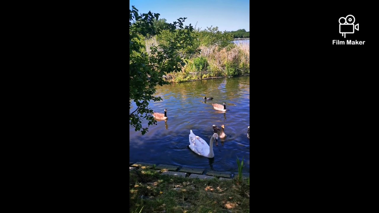 Killingworth Park YouTube