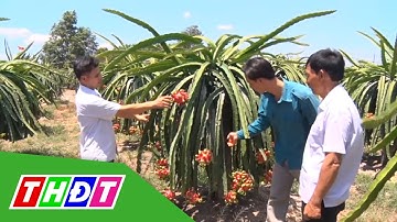 Cơ cấu lại ngành nông nghiệp theo hướng phát triển bền vững | THDT