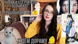 "Хаски и его учитель белый кот" Лучшая новелла? Обсуждаем БЕССМЕРТИЕ. Ждём трейлер.