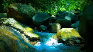 Sleep Instanly with Forest and Waterfall Ambience Nature River Sound to Meditate to Stress Relief