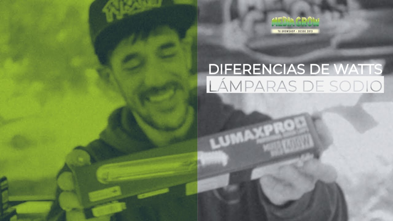 Decodificando la Iluminación: Diferencias en Watts de Lámparas de Sodio