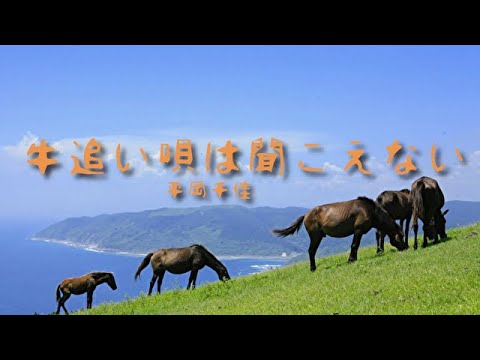 Chika Hiraoka/I can't hear the cow-driving song