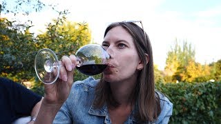 Visiting Finca Adalgisa | Wine Tourism in Mendoza, Argentina by Nomadic Samuel - Travel Channel 92,586 views 4 years ago 1 minute, 41 seconds