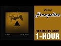 Shaed - Trampoline | 1 HOUR