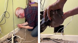 Rescuing Pigeon From Chimney