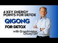 Sfq 4 key points for detoxifying the bodys energy