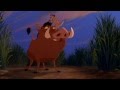 Timon Y Pumba Se Conocen Audio Latino Timon Y Pumba Se Conocen Audio Latino