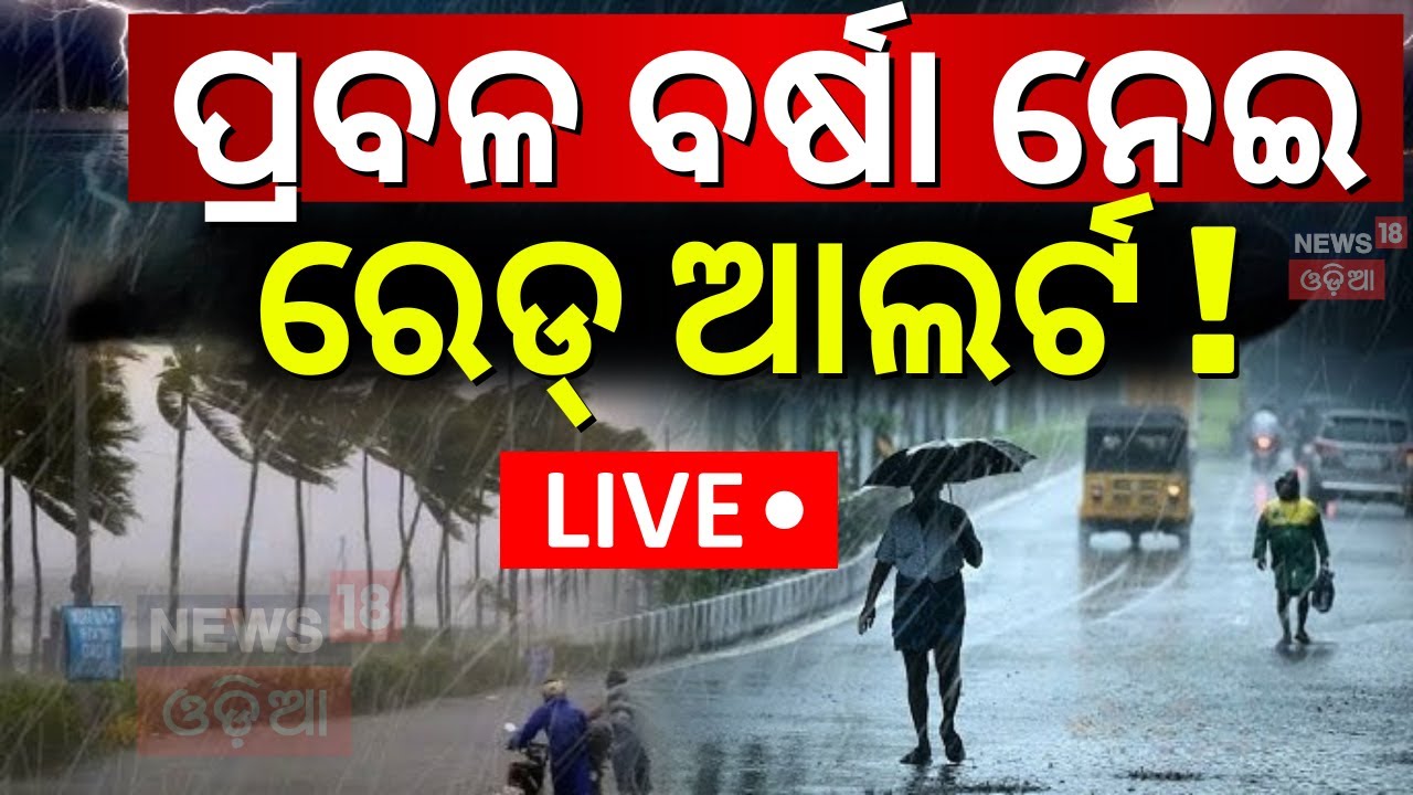 Live:ପ୍ରବଳ ବର୍ଷା ନେଇ ରେଡ ଆଲର୍ଟ !Red Alert For Odisha |Low Pressure Rain |Odisha Rain |Weather Update