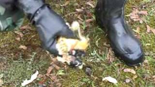 Rubber gloves smashing a banana 1