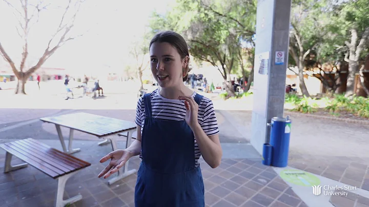 START NOW: Do something more practical at CSU