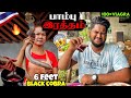 பாம்பு இரத்தம் 😱 - Tasting Snake’s Blood - Graphic Content - Foodie prabu