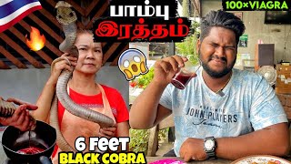 பாம்பு இரத்தம் 😱 - Tasting Snake’s Blood - Graphic Content - Foodie prabu