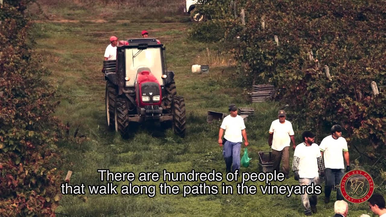 Herdade de Vale Barqueiros - Video Institucional