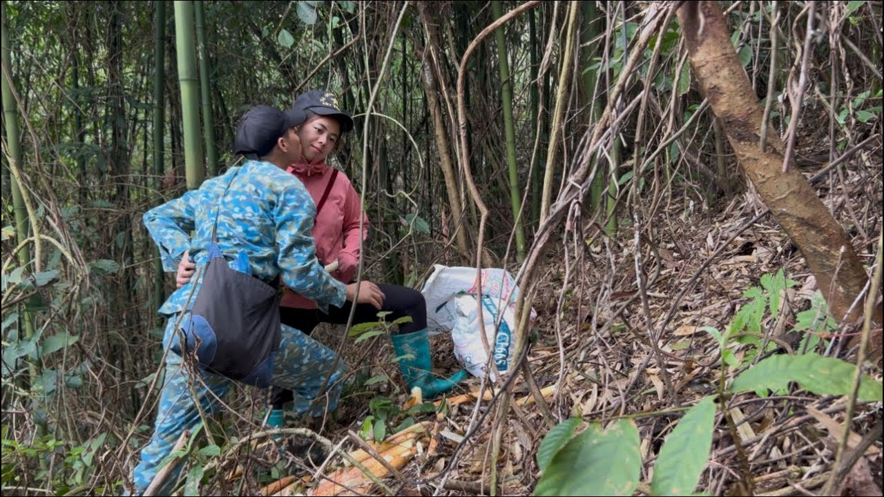 This girl went into the deep forest to pick bamboo shoots and met a ...