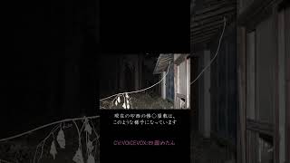 恐ろしい噂のある廃屋・印西の惨◯屋敷、現在の様子