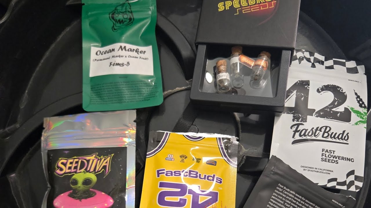 Seed to harvest with some of the best genetics around 