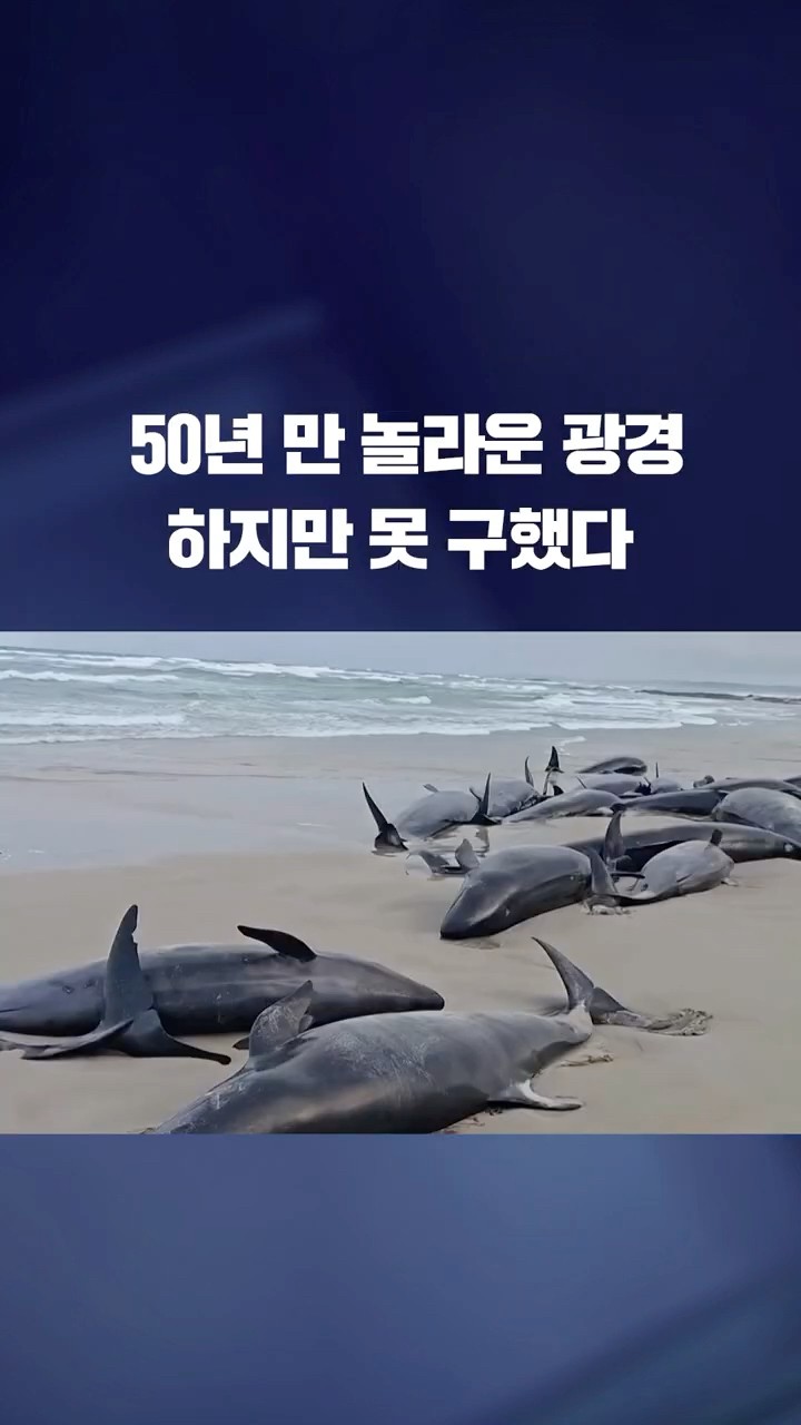 50년 만 놀라운 광경, 하지만 못 구했다! #shorts / KBS