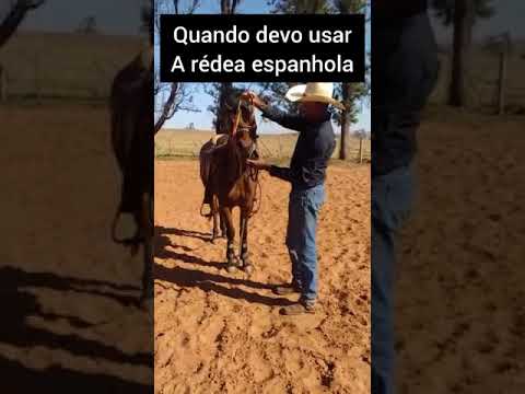 Vídeo: Para que serve uma rédea de grackle?