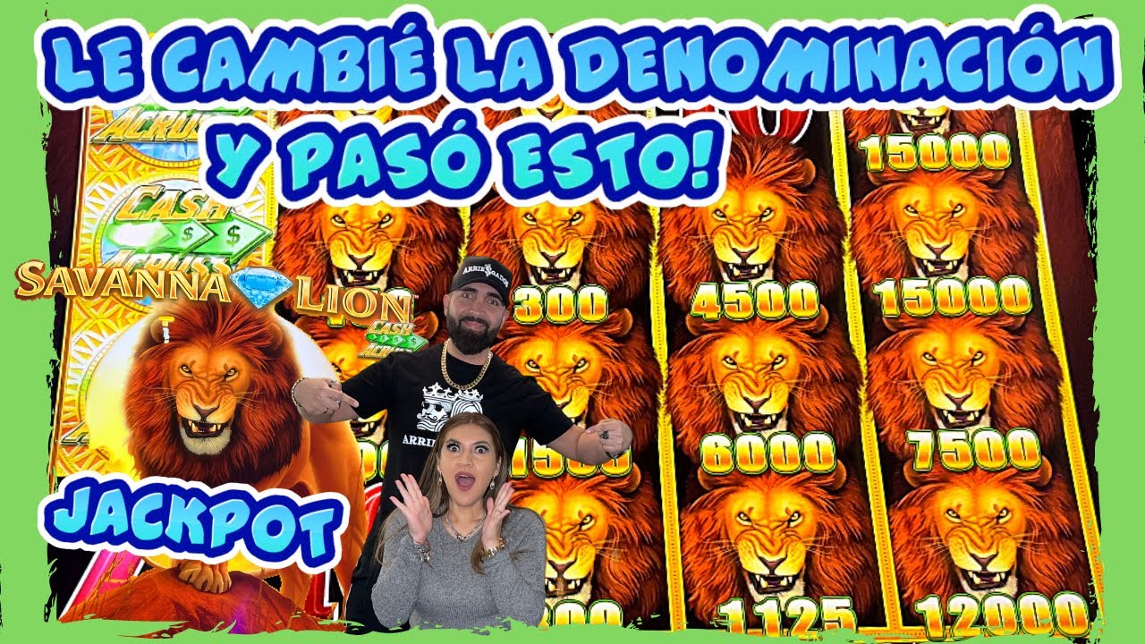 Leon casino