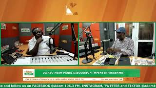 Nkokɔ Nkitinkiti Is Not A Good Initiative, Just Waste Of Money - George Kwame Aboagye