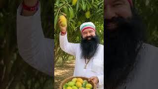#lovemsg