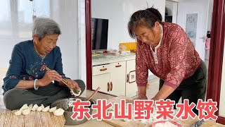 牛二条 小叶芹包饺子好吃不 东北野菜的地道做法 姥姥老妈吃完连连夸赞