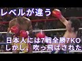 【残酷な現実】日本人に無双していた怪物をKOした世界の超一流ボクサー・ボクシング世界戦